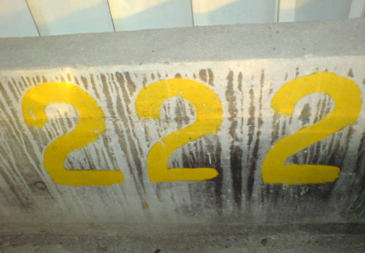 222 graffiti found in my hometown